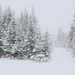 Une belle bordée de neige