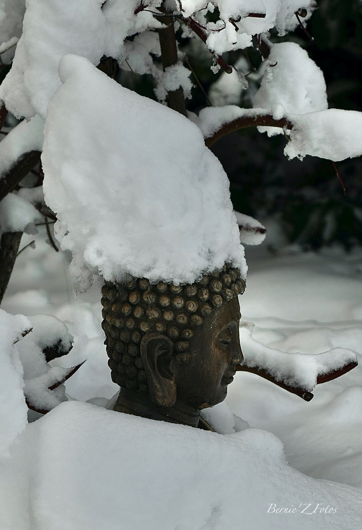 Une belle coiffe blanche