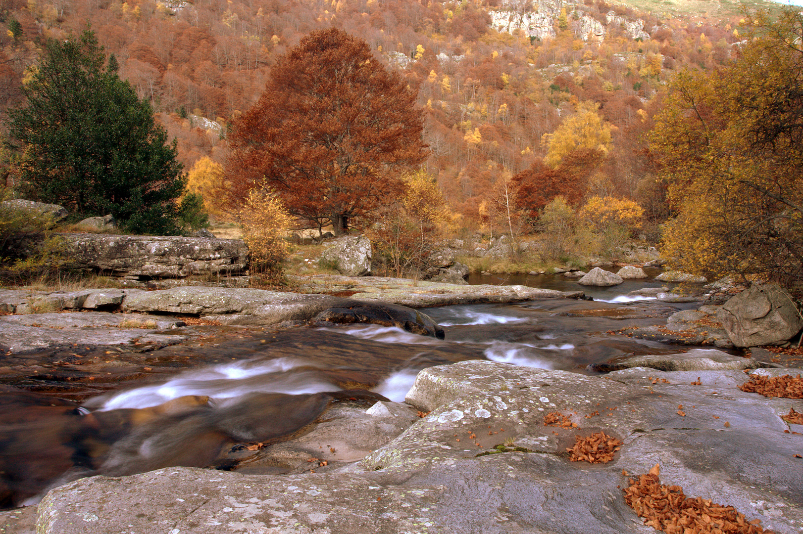 Une belle journée d'Automne