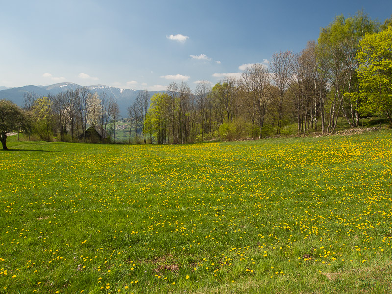 Une belle journée de printemps