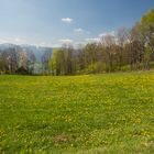 Une belle journée de printemps