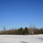 Une belle journée d'hiver au Québec