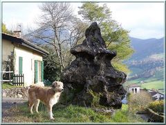 Une belle pierre et un copain de balade.