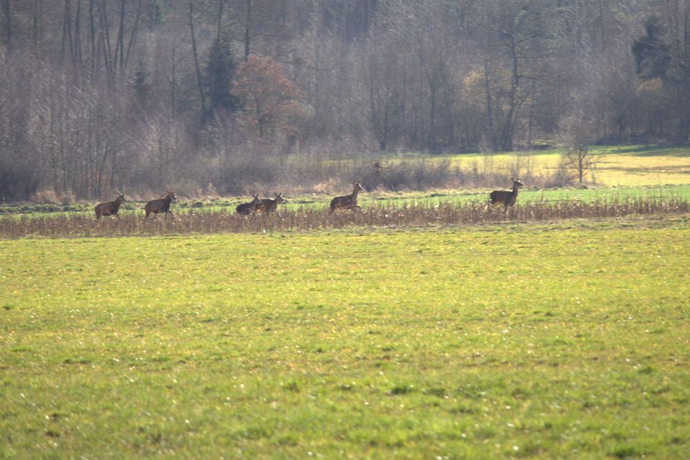 Une belle rencontre