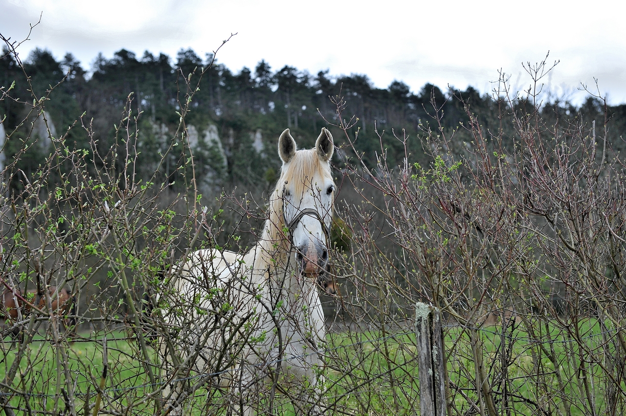 Une belle rencontre