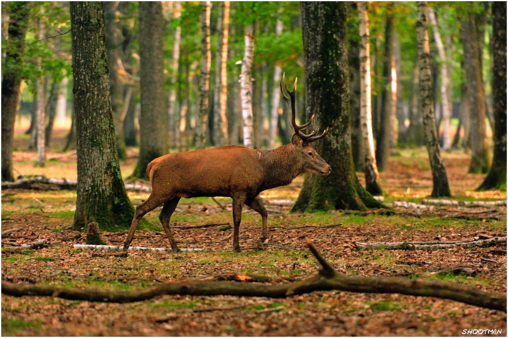 Une belle rencontre...