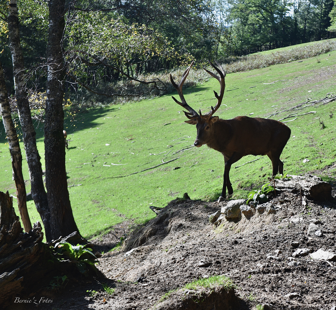 Une belle rencontre 