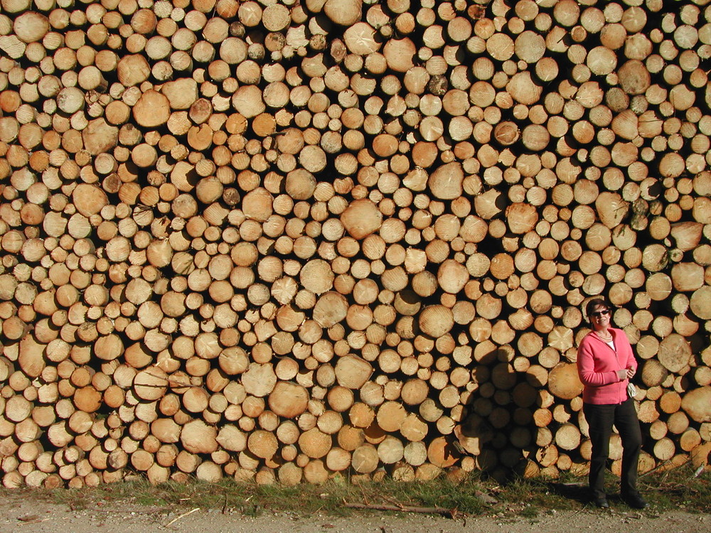 Une belle réserve de bois pour l'hiver