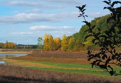 Une berge du lac du Bousquetarra en automne