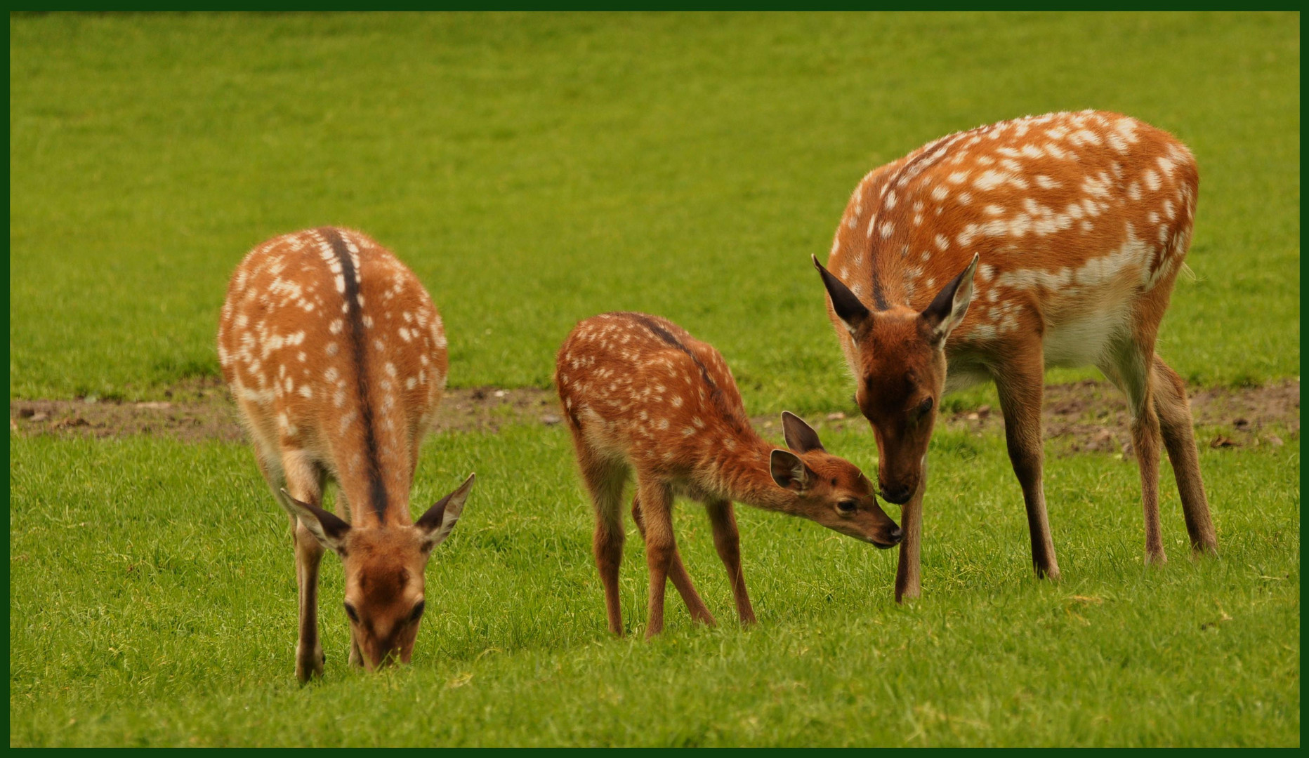 Une bien belle famille !