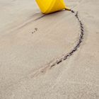 Une bouée sur la plage