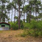 Une « cabane »