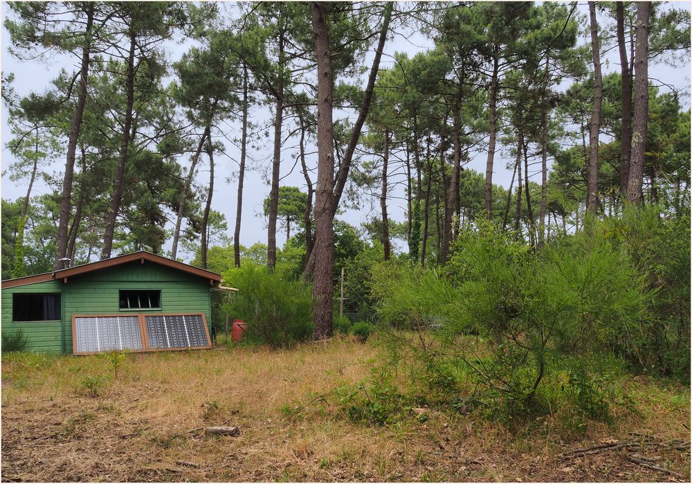 Une « cabane »