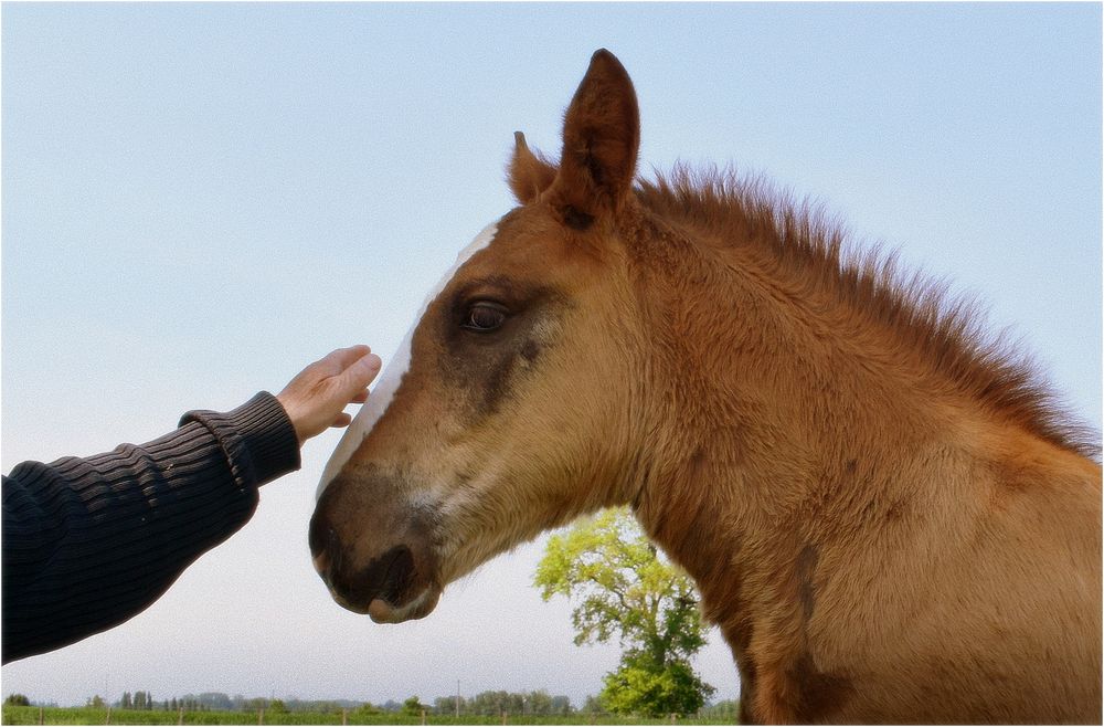 une caresse ...