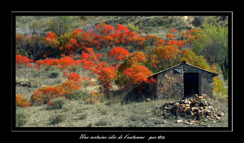 Une certaine idée de l'automne