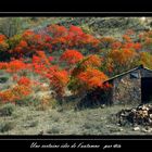 Une certaine idée de l'automne