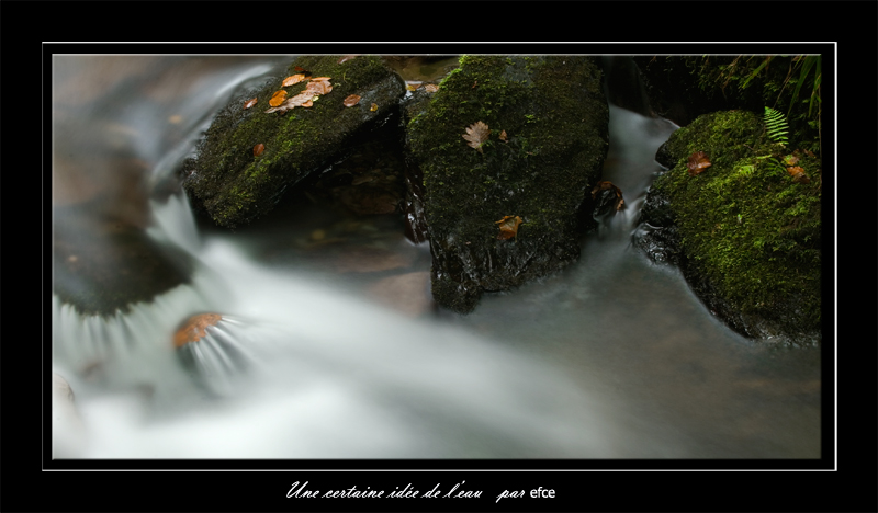 Une certaine idée de l'eau