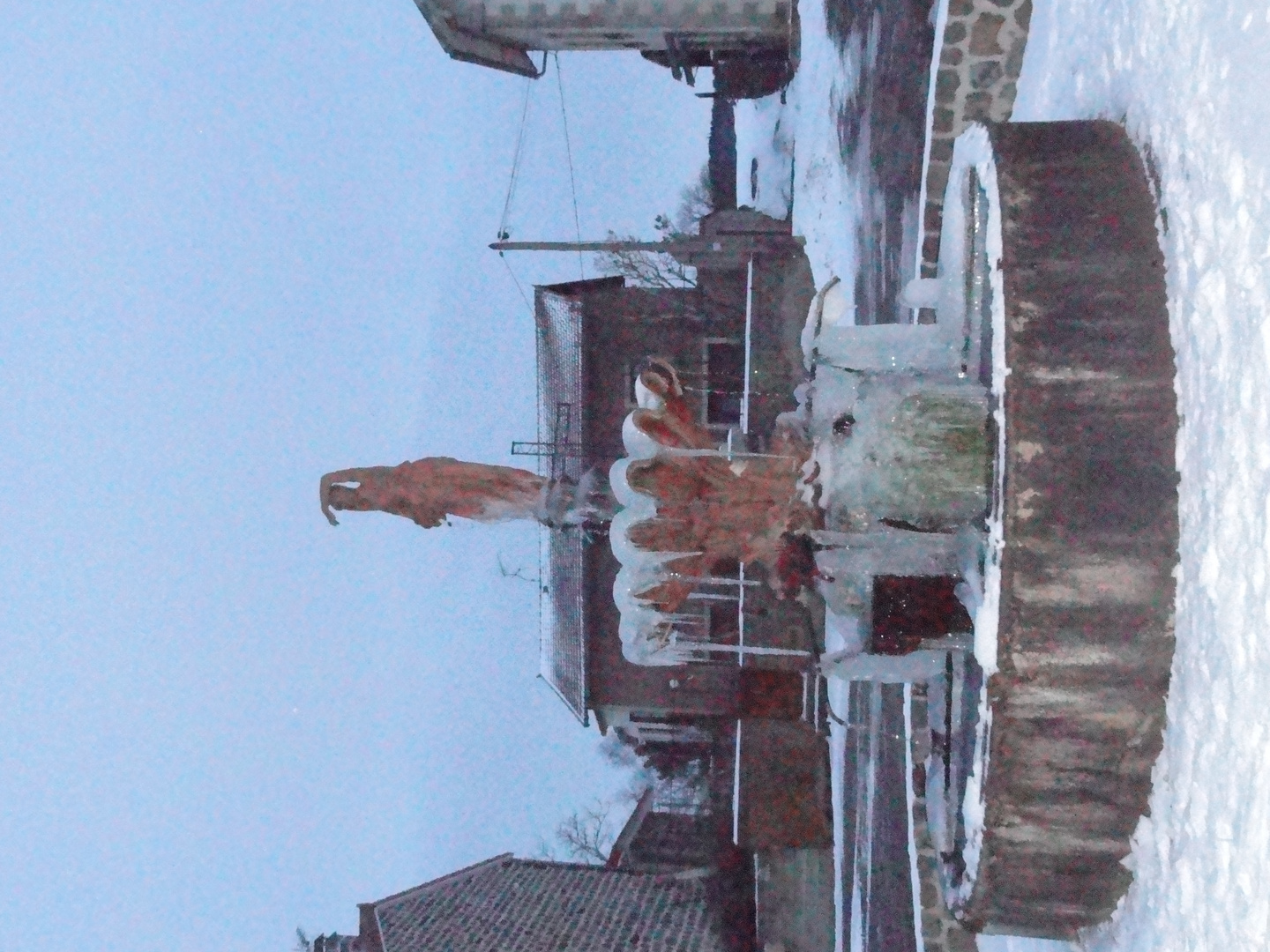 Une Dame de Glace