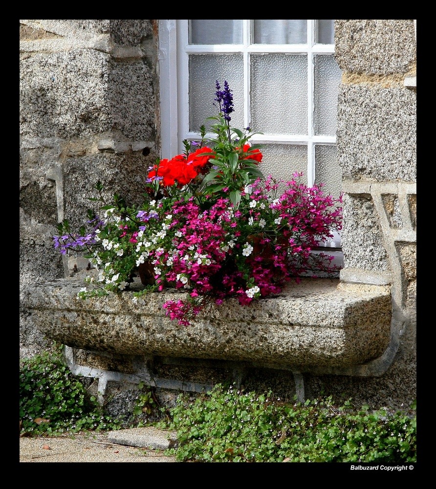 " Une décoration florale à Pont Aven "