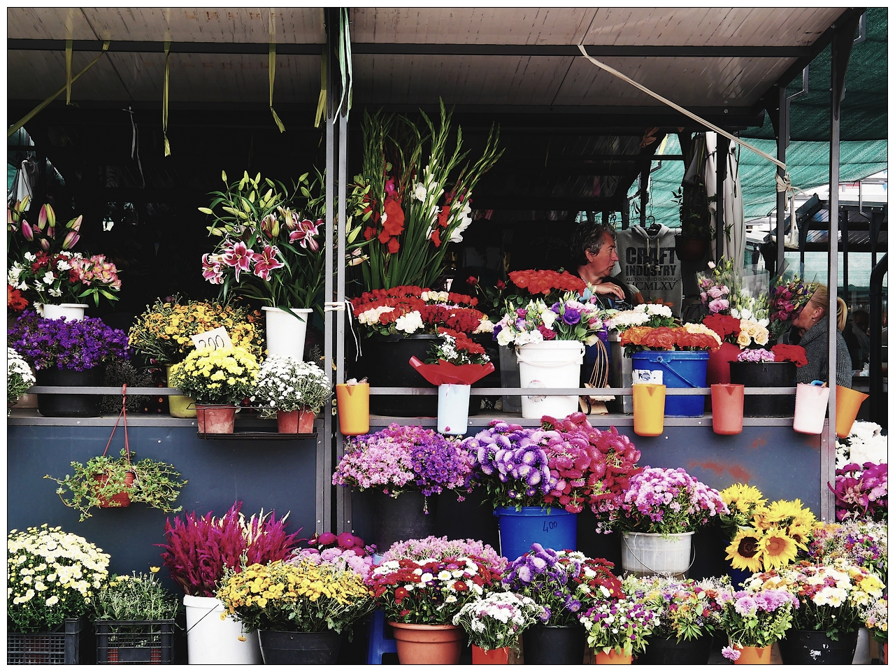 Une des fleuristes du marché photo et image flowers, street, blumen