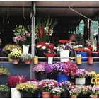 Une des fleuristes du marché