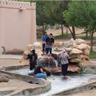 Une des sources d'eau chaude