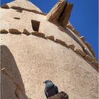Une des tours...habitée, du Fort Al Jahili