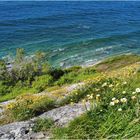 Une falaise de flysch de la Corniche Basque au printemps