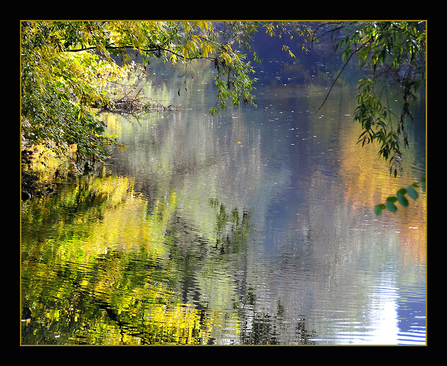 Une fenêtre sur l'Automne