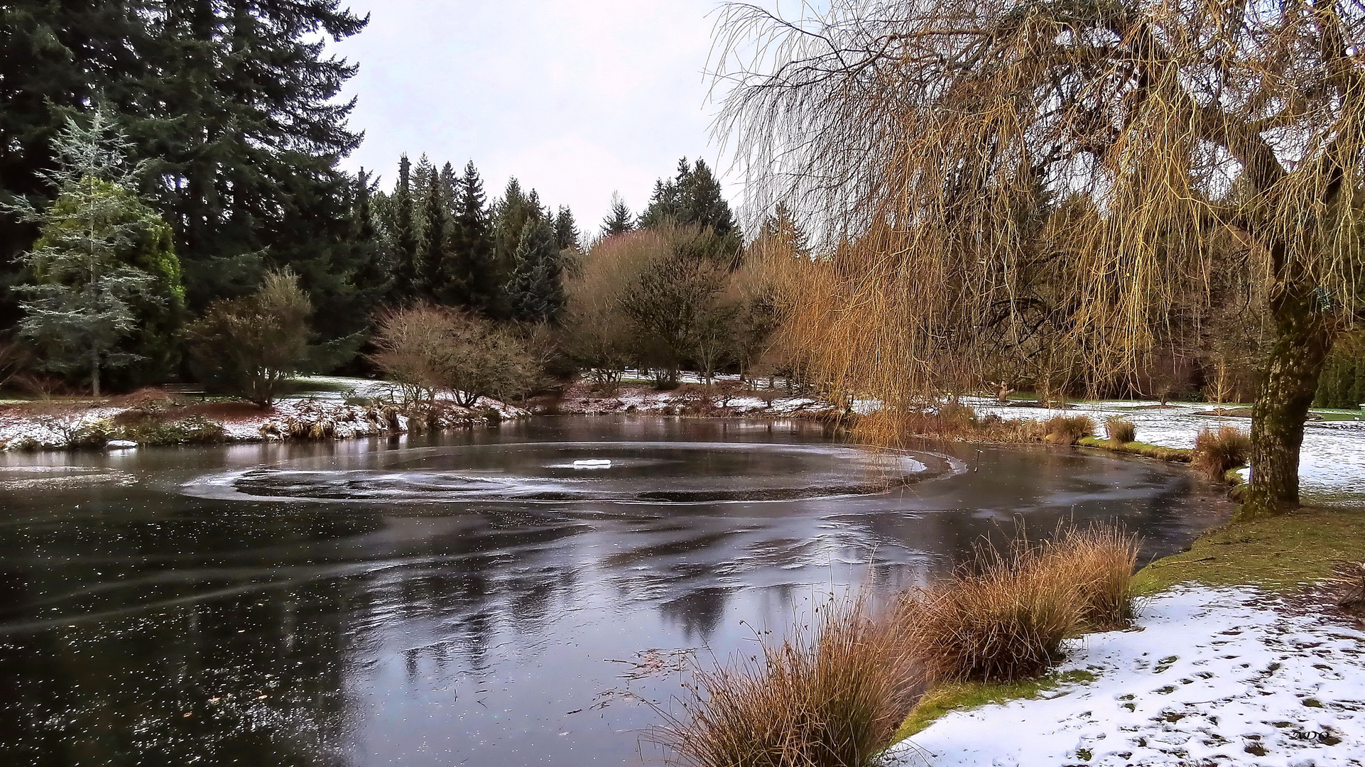 une fine couche de glace