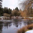 une fine couche de glace