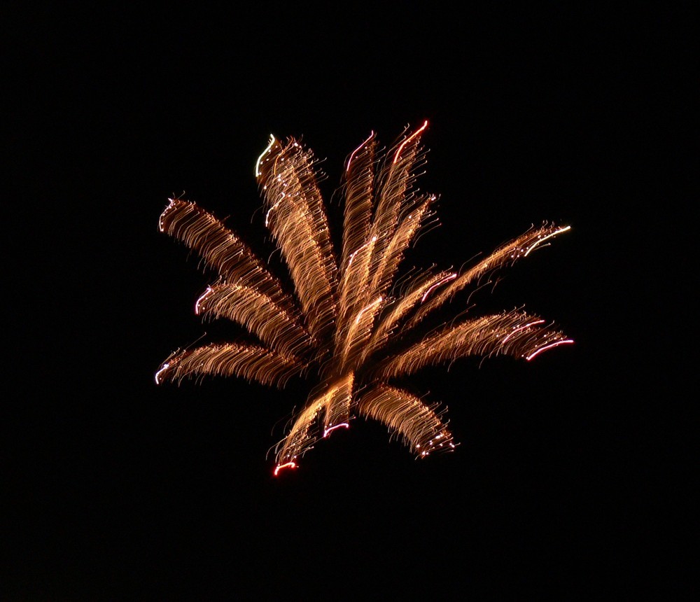 une fleur dans le ciel