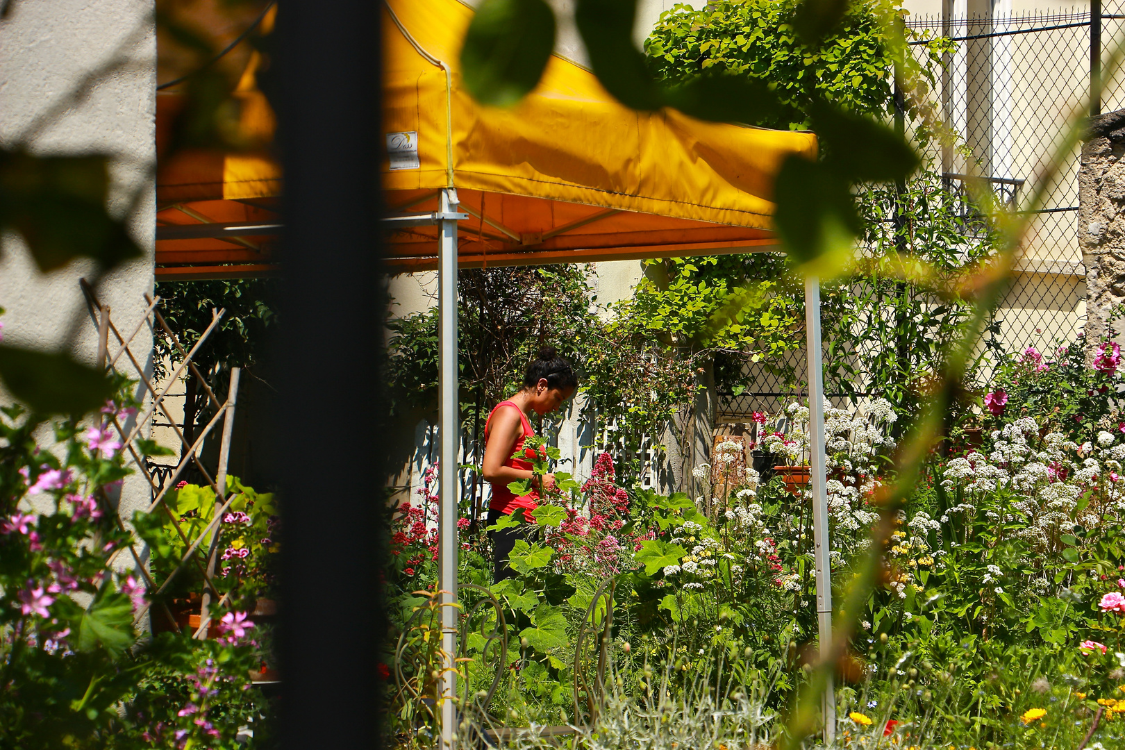 Une fleur parmi les fleurs.