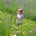 Une fleur parmi les fleurs Ma Beauté