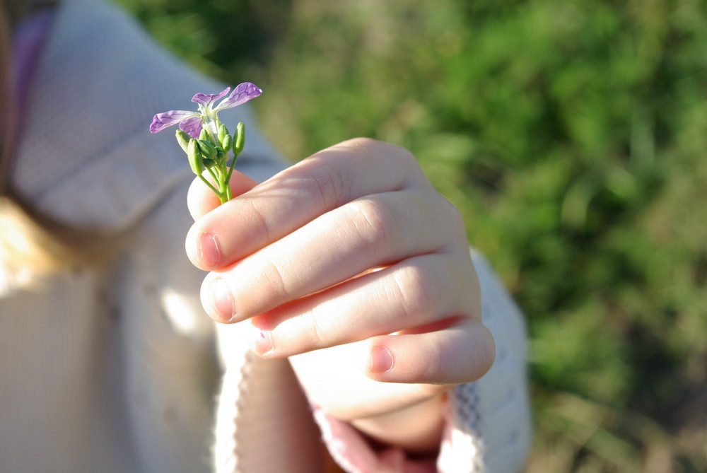 Une fleur pour Maman