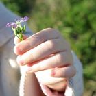 Une fleur pour Maman