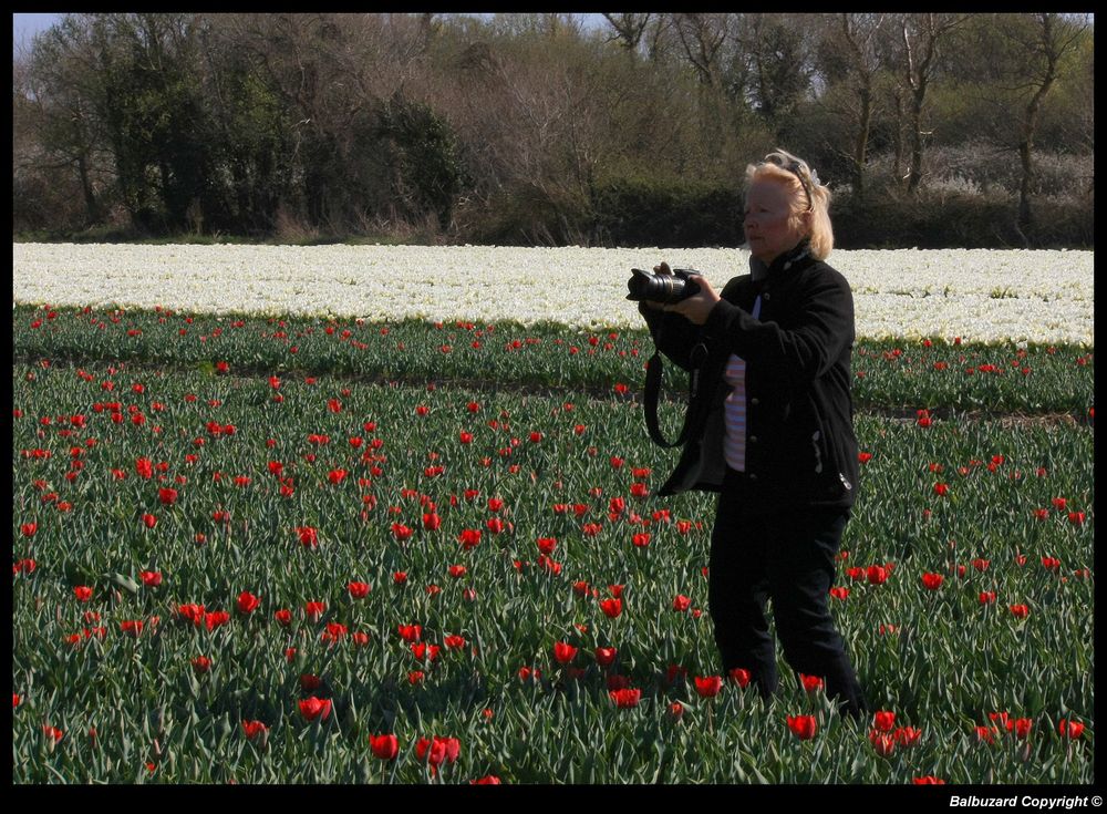 " Une fleurs parmi les fleurs ma gentille voisine à la Torche "