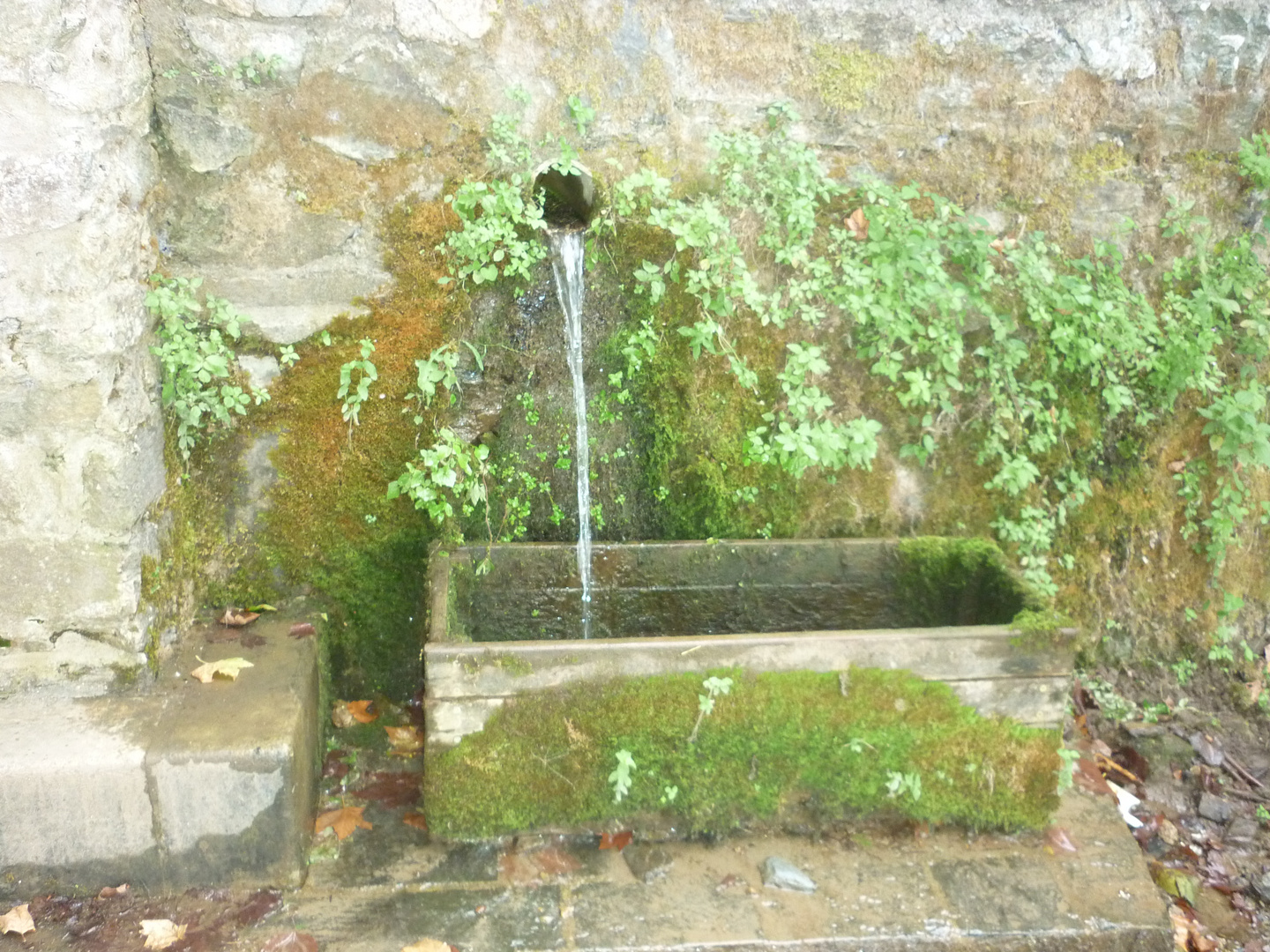 Une fontaine