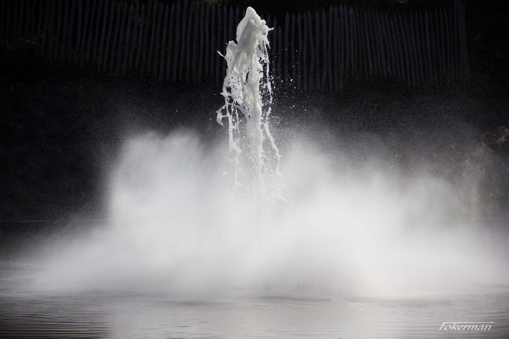 Une Fontaine de jouvence !