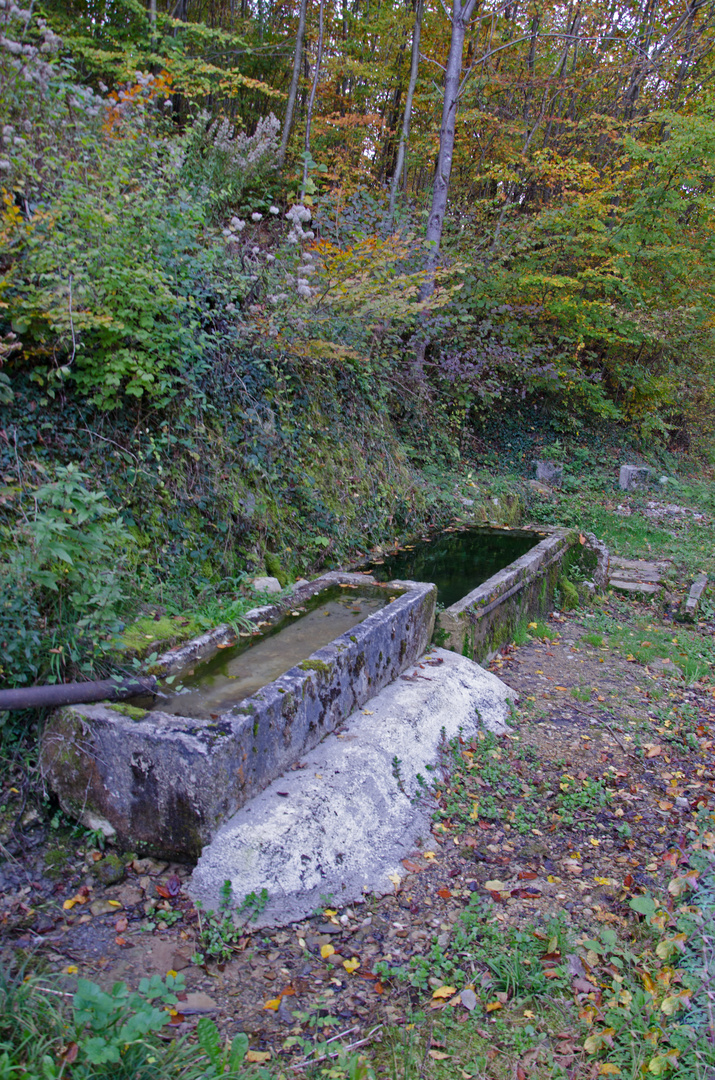 une fontaine en forêt