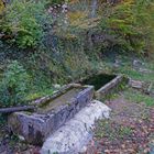 une fontaine en forêt