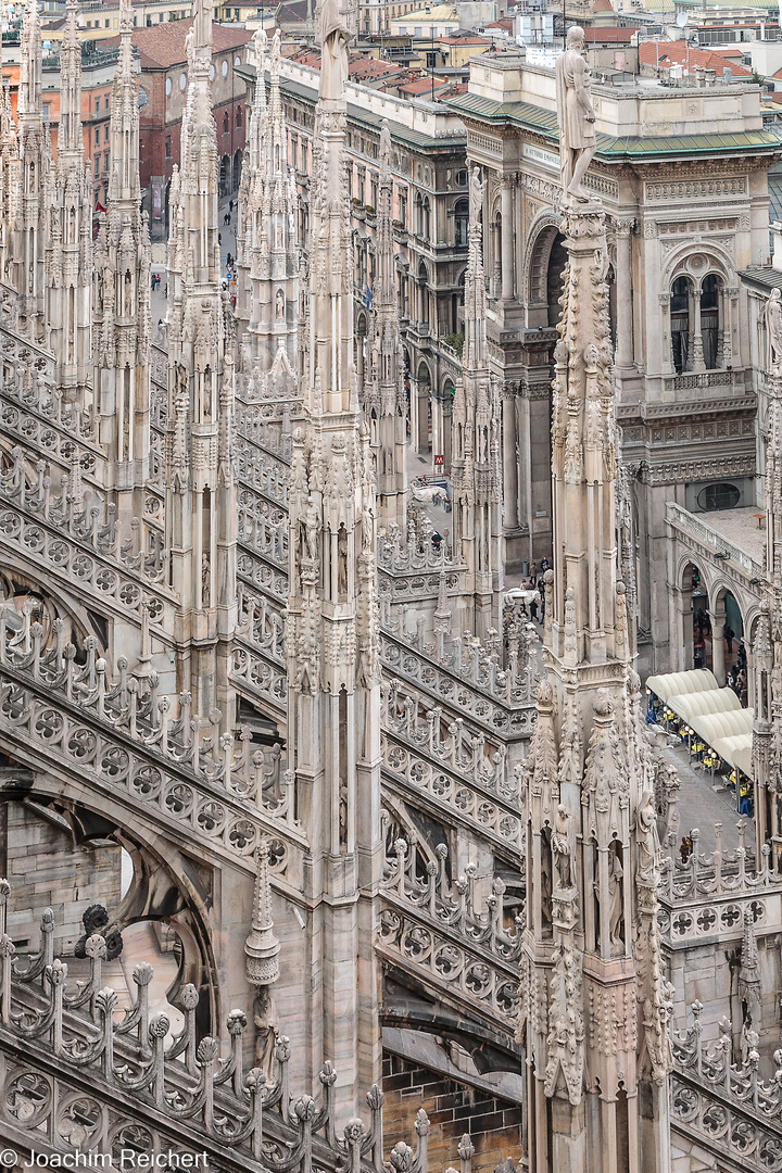 Une forêt plein d'art sur le toit de la cathédrale de Milan