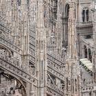 Une forêt plein d'art sur le toit de la cathédrale de Milan