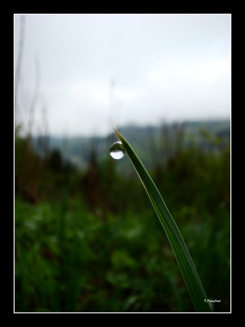 une goutte d eau (dans l ocean)