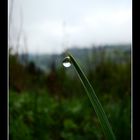 une goutte d eau (dans l ocean)