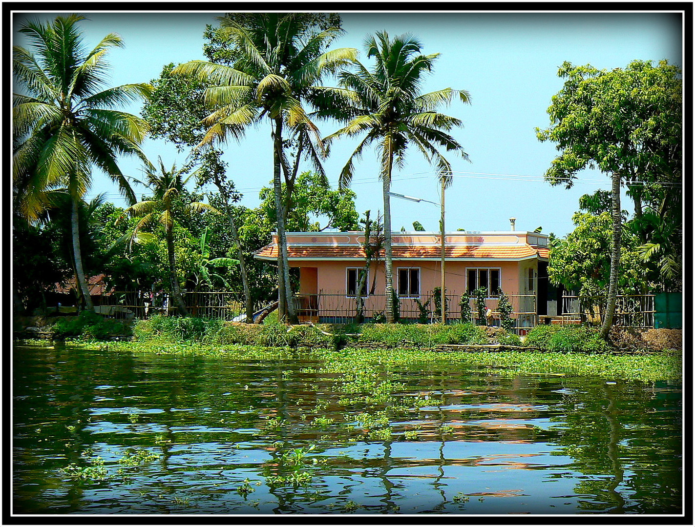 UNE HABITATION DANS LES BACKWATERS