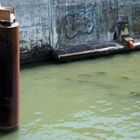 une installation sur la seine , sur les rives du théatre ou je travaille