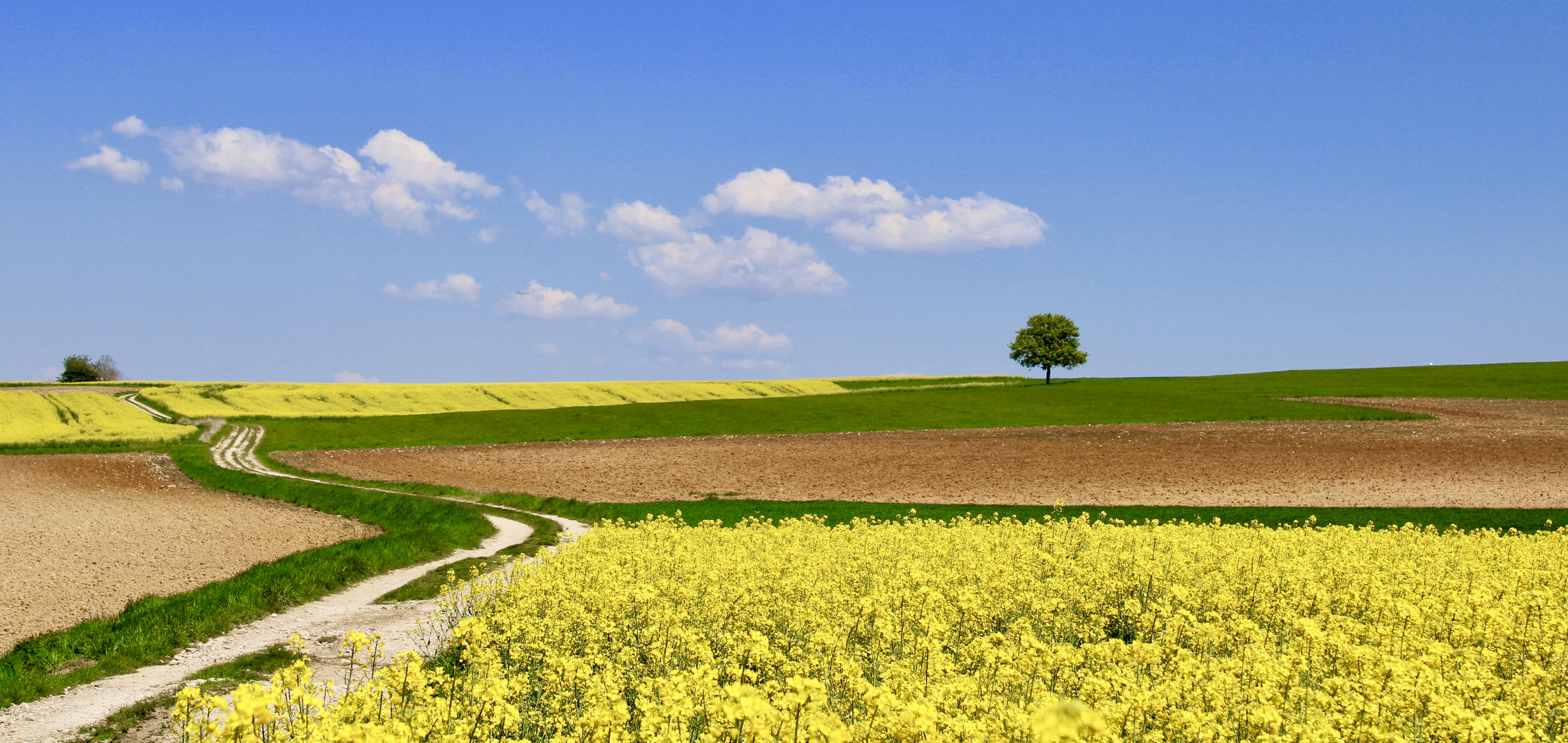 ..une jour comme dans l´été !!!...