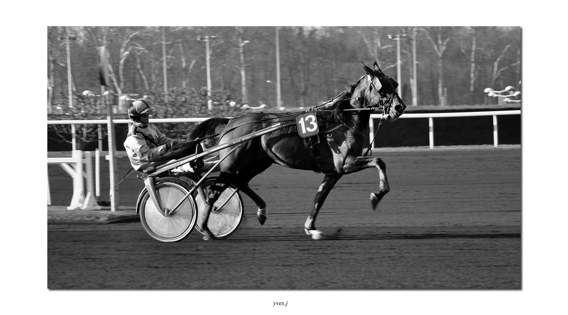 une journee a l'hippodrome (1)...........la pose