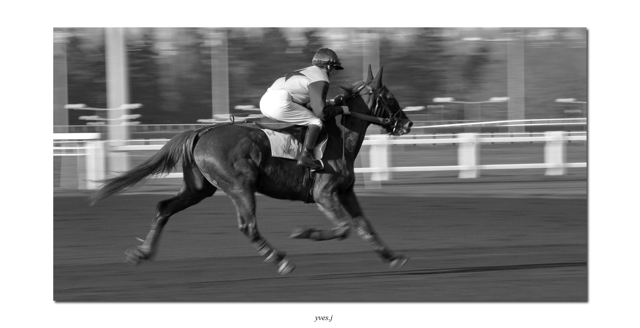 une journee a l'hippodrome (4)...........l envol